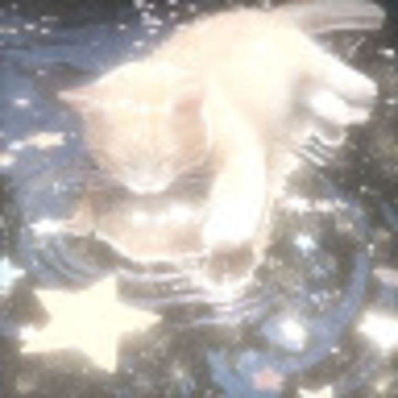 bri_saii